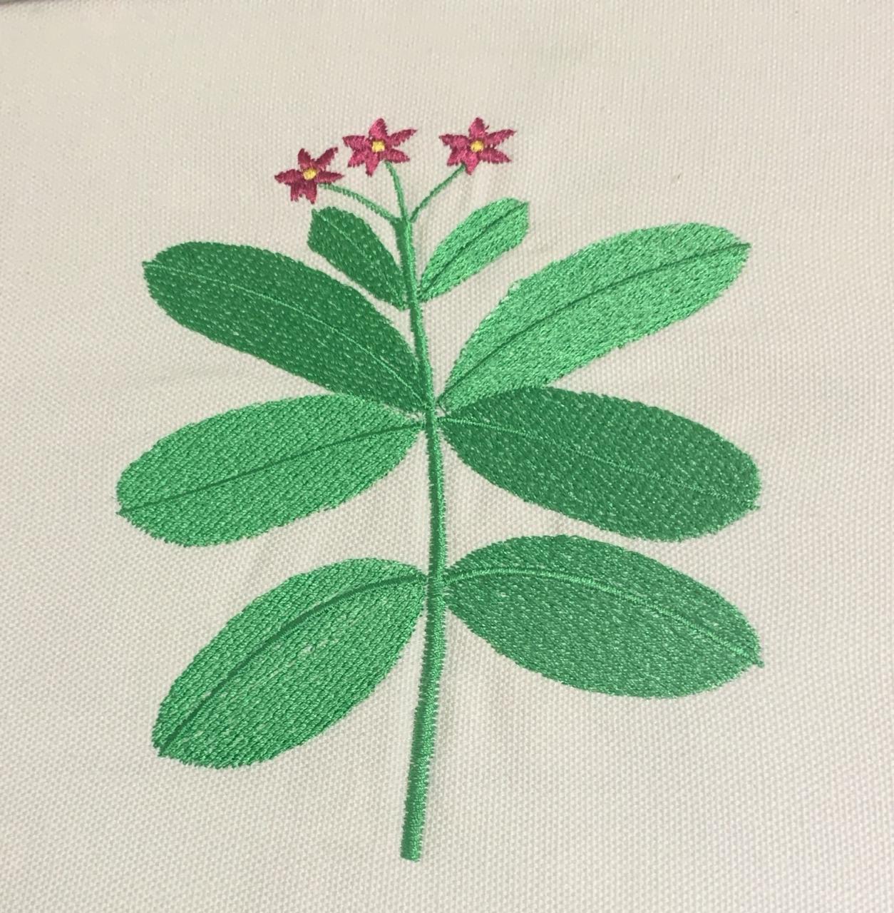 The Pink Flower