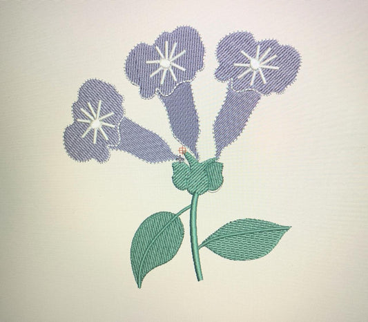 The Kurinji flower