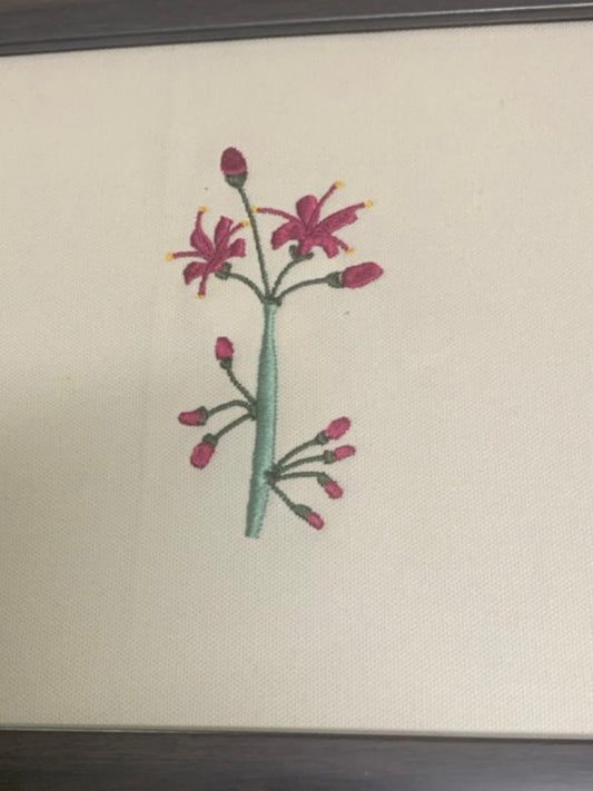 The Cotton Flower